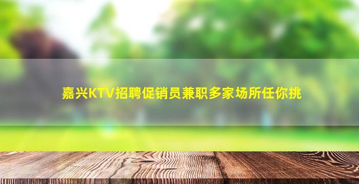 嘉兴KTV招聘促销员兼职多家场所任你挑